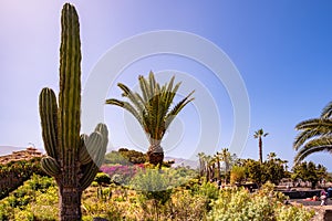 Playa Jardin - Puerto de la Cruz one of the most beautiful beaches in Tenerife. The beach