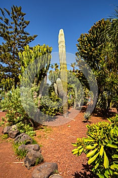 Playa Jardin - Puerto de la Cruz one of the most beautiful beaches in Tenerife. The beach