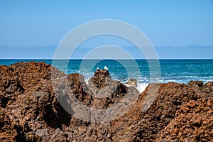 Playa Jardin - Puerto de la Cruz one of the most beautiful beaches in Tenerife. The beach