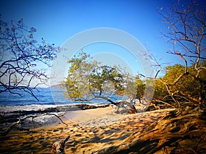 Playa Langosta beach, Costa Rica