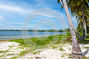 Playa Larga beach on the Zapata Peninsula in Cuba on a summer day