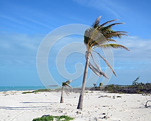 Playa Las Coloradas, Cuba photo