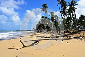 Playa Limon beach on Dominican Republic