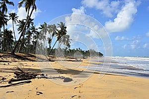 Playa LImon beach on Dominican Republic