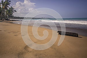 Playa Limon in Dominican republic 13