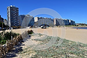 Playa pocitos, Montevideo photo