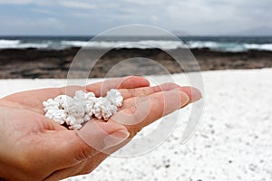 Playa popcorn, Fuerteventura