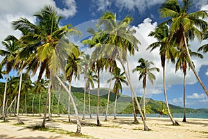 Playa Rincon beach on Dominican Republic