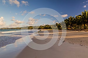 Playa Rincon beach in Las Galeras, Dominican Republ