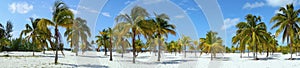 Playa Sirena Tropical Beach Caribbean Sea Palm Trees Cayo Largo Cuba photo