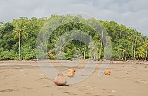 Playa Uvitais one of the most beautiful beaches in Costa Rica