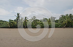 Playa Uvitais one of the most beautiful beaches in Costa Rica