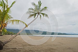 Playa Uvitais one of the most beautiful beaches in Costa Rica