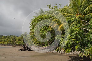 Playa Ventanas is one of the most beautiful beaches in Costa Rica