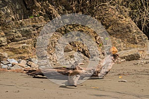 Playa Ventanas is one of the most beautiful beaches in Costa Rica photo