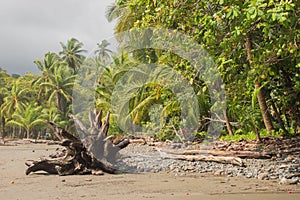 Playa Ventanas is one of the most beautiful beaches in Costa Rica photo