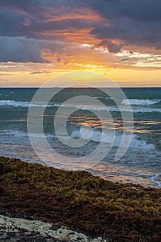 Playacar Beach, Quintana Roo, Sunrise, Mexico photo