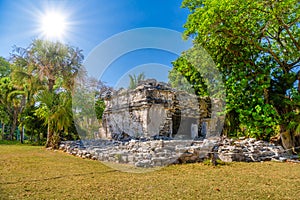 Playacar Mayan ruins in the forest park in Playa del Carmen, Yucatan, Mexico photo