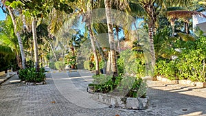 Playacar street view in the daytime