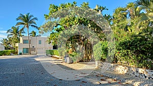 Playacar street view in the daytime