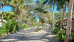 Playacar street view in the daytime