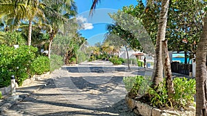 Playacar street view in the daytime