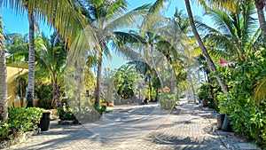 Playacar street view in the daytime