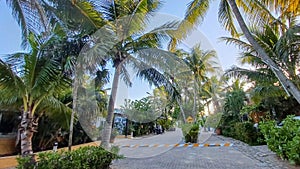 Playacar street view in the daytime