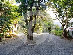 Playacar street view in the daytime photo