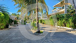 Playacar street view in the daytime photo