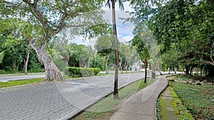 Playacar street view in the daytime photo