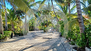 Playacar street view in the daytime photo