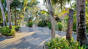 Playacar street view in the daytime