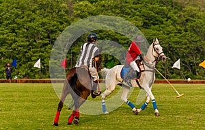 players in action during a polo match