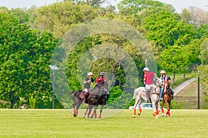 players in action during a polo match