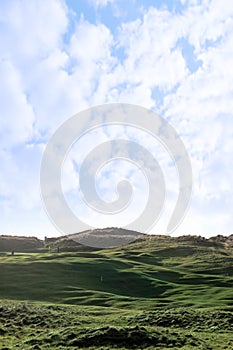 Players and flag on golf course