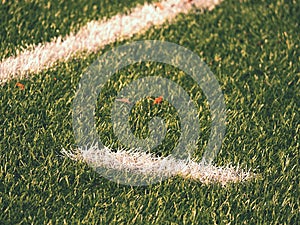 Playfield border. Closeup view to white lines on football playground. Detail of a of white lines