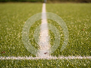 Playfield border. Closeup view to white lines on football playground. Detail of a of white lines