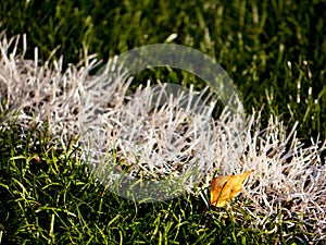 Playfield border. Closeup view to white lines on football playground. Detail of a of white lines