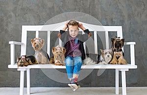 Playful boy sits on a white bench in an environment of five little dogs