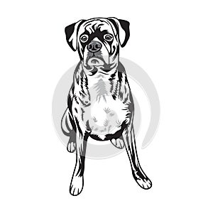 A playful dog in black and white vector illustration