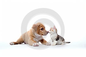 The Playful Dog and Curious Kitten, Unlikely Best Friends AI Generated Illustration