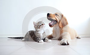 The Playful Dog and Curious Kitten, Unlikely Best Friends AI Generated Illustration