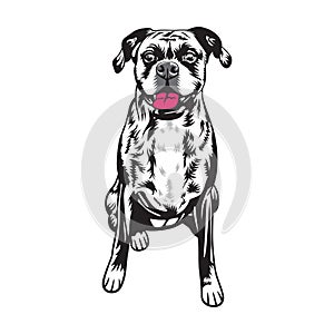 A playful dog with red tongue in black and white vector illustration