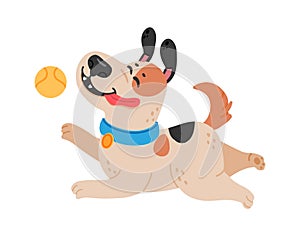 Playful dog running and catching a ball, enjoying a fun activity, happy pet with tongue out and ears flapping, isolated on white photo
