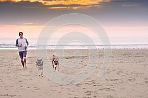 Playful dogs running with owner