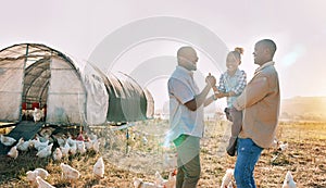 Playful, gay couple and chicken with black family on farm for agriculture, environment and bonding. Relax, nature and