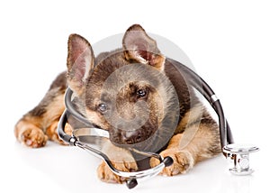 Playful German Shepherd puppy with a stethoscope on his neck. isolated on white background