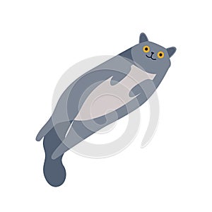 Playful gray smiling cartoon british cat lying isolated on white. Cute fluffy domestic animal vector flat illustration