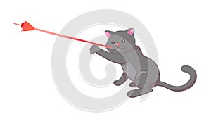 Playful Grey Cat Chasing Laser Pointer Vector, vector design Generative AI